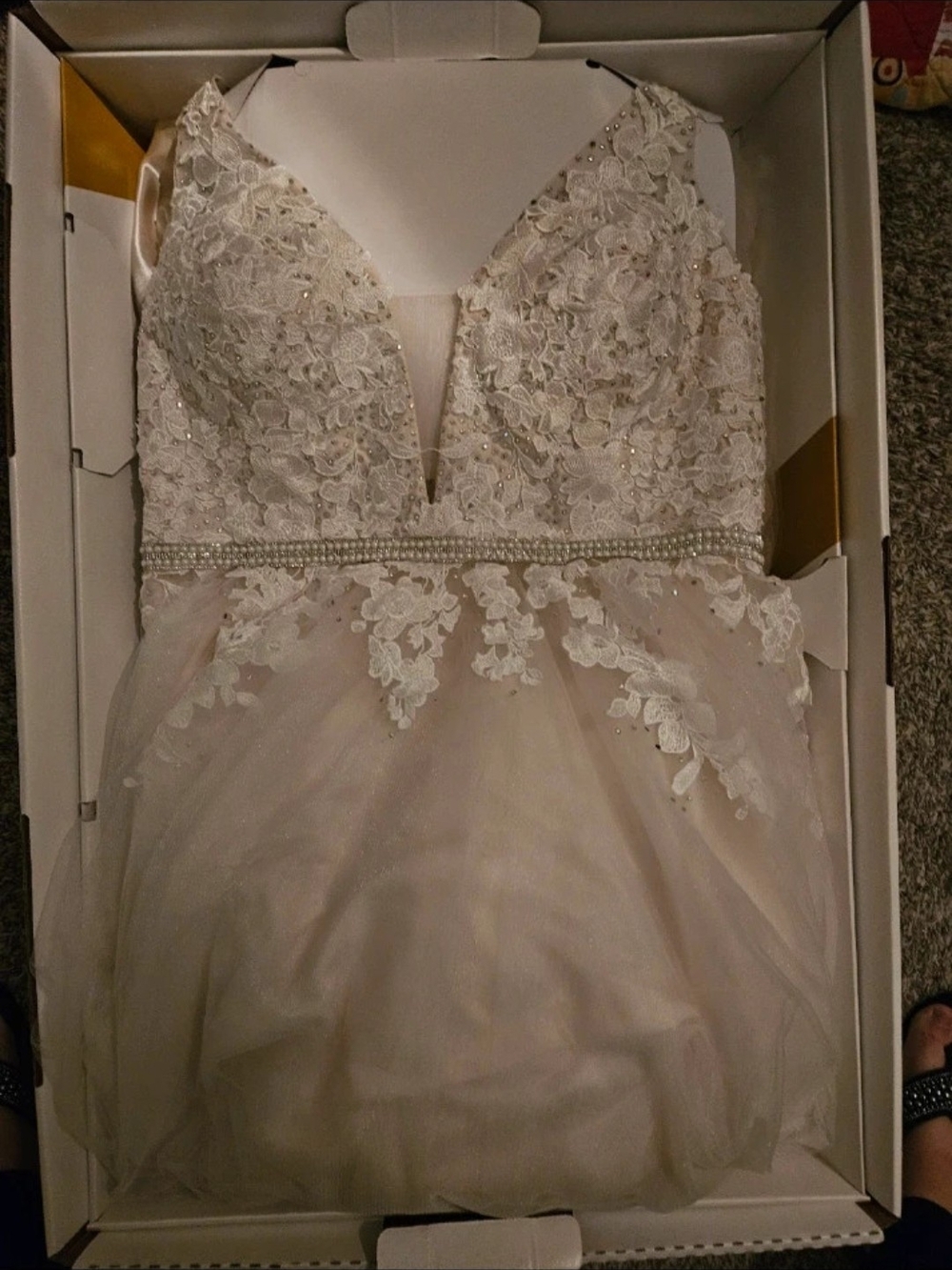Lace Appliqué V-Neck Tulle Dress in Ivory